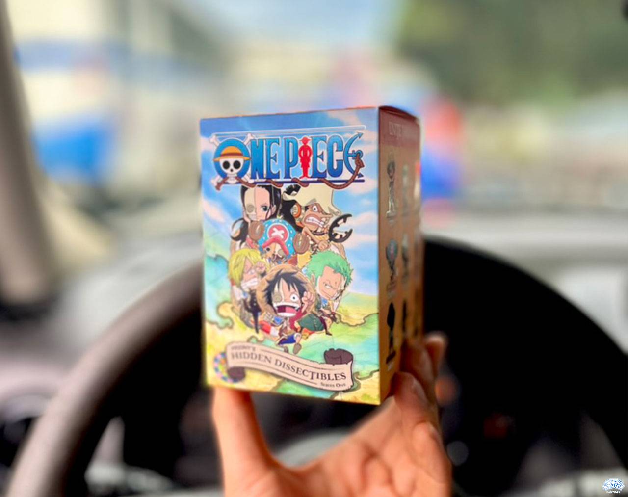 One Piece Hidden Dissectibles (Cajita sorpresa) - Mighty Jaxx Blind Box Series 1