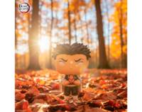 Gyomei Himejima - Kimentsu No Yaiba Pop! Vinyl